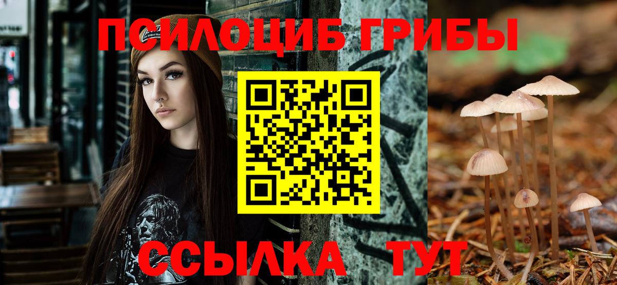 Галлюциногенные грибы Cubensis Полевской
